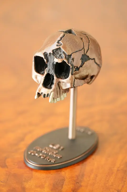 LB1 (the Hobbit) replica, left-1 view