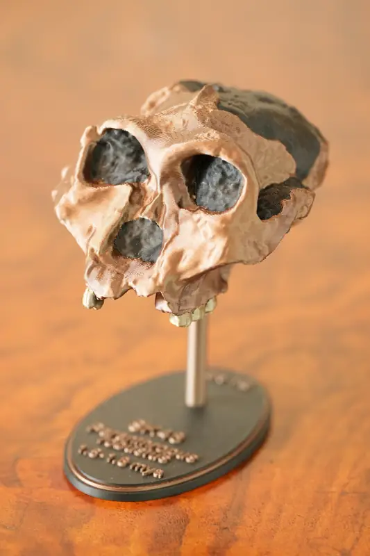 SK 48 replica, left view